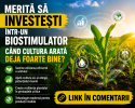 Merită să investești într-un biostimulator când cultura arată deja foarte bine?