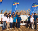 La Ziua Porumbului, hibrizii Dekalb s-au confirmat cei mai productivi hibrizi din 2017
