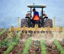 Agricultura românească cu Fonduri Europene