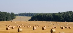 ROUNDUP ENERGY - Aplicarea pe miriște