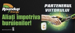Roundup pe miriște sau înainte de recoltat?