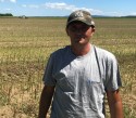 PT275 și PT225 – hibrizii fermierilor campioni din vestul țării