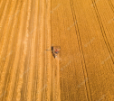Legea Arendei introduce contracte de 7 ani în agricultură