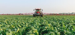 Case IH Patriot – tehnică de erbicidare unică pe piață