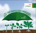 Adevăr sau provocare: Rapița de toamnă