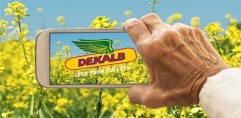 DK EXCEPTION  Producţie mare cu aceeaşi mâncare!