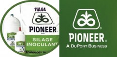 Pioneer 11A44- Inoculant pentru toate tipurile de furaj