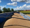 Polonia menține embargoul asupra cerealelor ucrainene în ciuda eforturilor Comisiei Europene