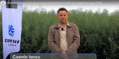 PT315, hibridul de nota 10 din ferma tânărului Cosmin Iancu, promite un nou sezon de excepție