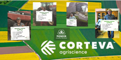 Fermierii campioni Pioneer la floarea-soarelui din vestul țării