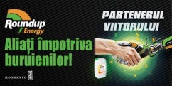 Roundup Energy înainte de recoltatul grâului