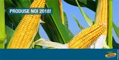  Catalog de porumb DEKALB 2018