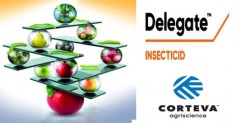 Delegate - Insecticid pentru combaterea daunatorilor din pomicultura