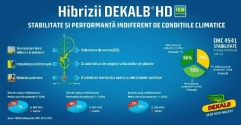 Poziţionarea hibrizilor DEKALB® în funcţie de parcelă eficientizează costurile la hectar