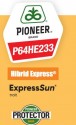 P64HE233 Hibridul de floarea-soarelui Express High Oleic de la Corteva Agriscience