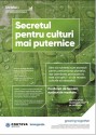 Beneficiile produsului Utrisha N în cultura porumbului
