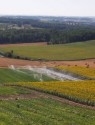 Bihor: Seceta i-a convins pe fermieri să se unească şi să îşi refacă sistemul de irigaţii