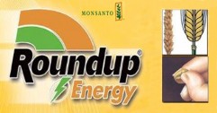 Roundup Energy - Aplicarea înainte de recoltare la cereale