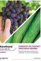 Karathane Gold 350 EC- protecție sigură împotriva făinării la vița de vie și castraveți