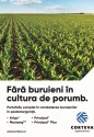 Erbicidarea la porumb în contextul schimbărilor climatice