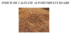Indicii de calitate ai porumbului boabe