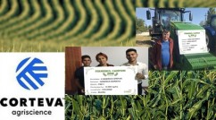 Fermierii campioni la porumb din județul Buzău