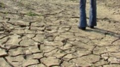 APIA: Cererile de despăgubiri pentru pagubele cauzate de secetă trebuie depuse până pe 30 noiembrie