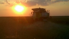 Agricultura Durabila  in Timp de Pace
