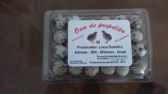 oua de prepelita