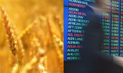  Prețurile cerealelor – între presiunea globală și incertitudinile comerciale