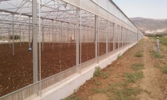 Producem sere :  http://www.sere-romania
