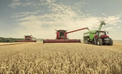 Agricultura în valuri: Prețurile cerealelor se ridică și se prăbușesc într-un ritm amețitor