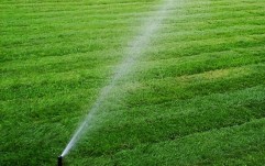 Infiintarea gazonului