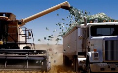 Traderii de cereale, singurii cu profituri mari și când este producție mare și când este secetă 