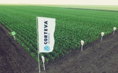 Portfolio Farm Furculești, primul eveniment în câmp din 2020 pentru Corteva Agriscience