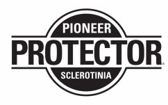 Corteva Agriscience lansează Sclerotinia Protector, o nouă tehnologie în cultura de rapiță