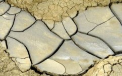 Sălaj: Pagubele produse de secetă, circa 235 milioane de lei; peste 187.000 ha au fost afectate
