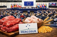 Parlamentul European votează mecanismul de protecție pentru fermierii UE în acordul cu Mercosur