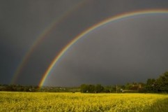 ANM: Regim termic oscilant, în următoarele două săptămâni