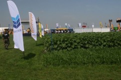 Vă invităm să vizitați standul Biochem la Agriplanta între 4 - 7 iunie