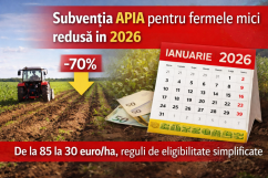 Subvenția APIA pentru fermele mici, redusă în 2026: sprijin mai mic, condiții mai flexibile