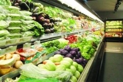 CRESTEREA CALITATII ALIMENTELOR