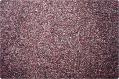 Seminte Aronia Superoferta