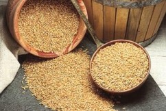 Producţia de grâu va scădea uşor în acest an, dar va fi a doua din istorie