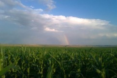 O afacere profitabilă sau o simplă loterie…?