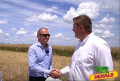 Producțiile de top ale concursului DEKALB ”Generația 6 tone”