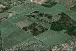 Vinuri cu indicatie geografica Dealurile Crisanei