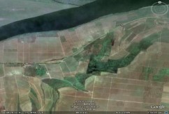 Vinuri cu indicatie geografica Terasele Dunarii