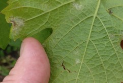 Euforia precipitațiilor...și totuși, să nu fim luați prin surprindere!