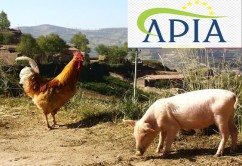 APIA: Depuneți cererile pentru ajutorul de stat în creșterea animalelor până la 15 Decembrie